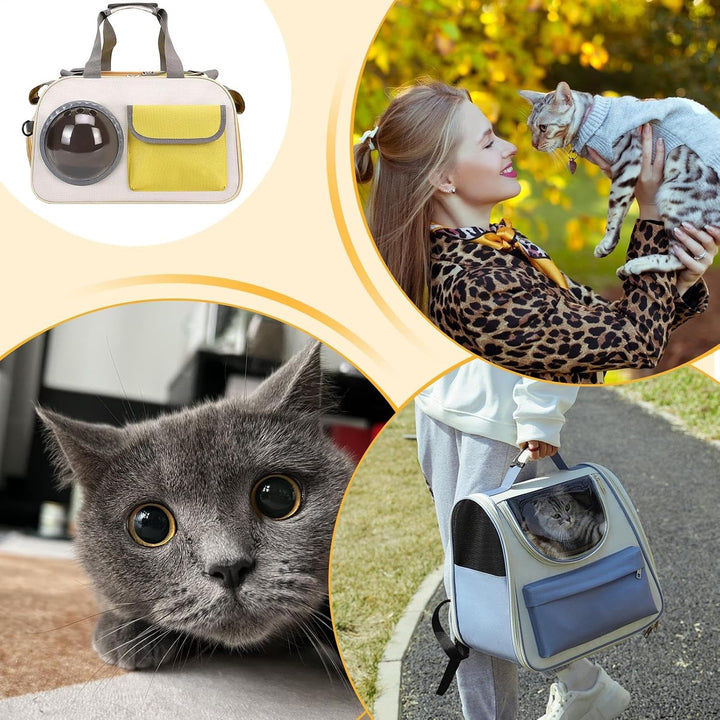 Haustiertransportbox | Tragbox Mit Blasenfenster Für Katzen | Tragbare Katzentransportbox Für Abente