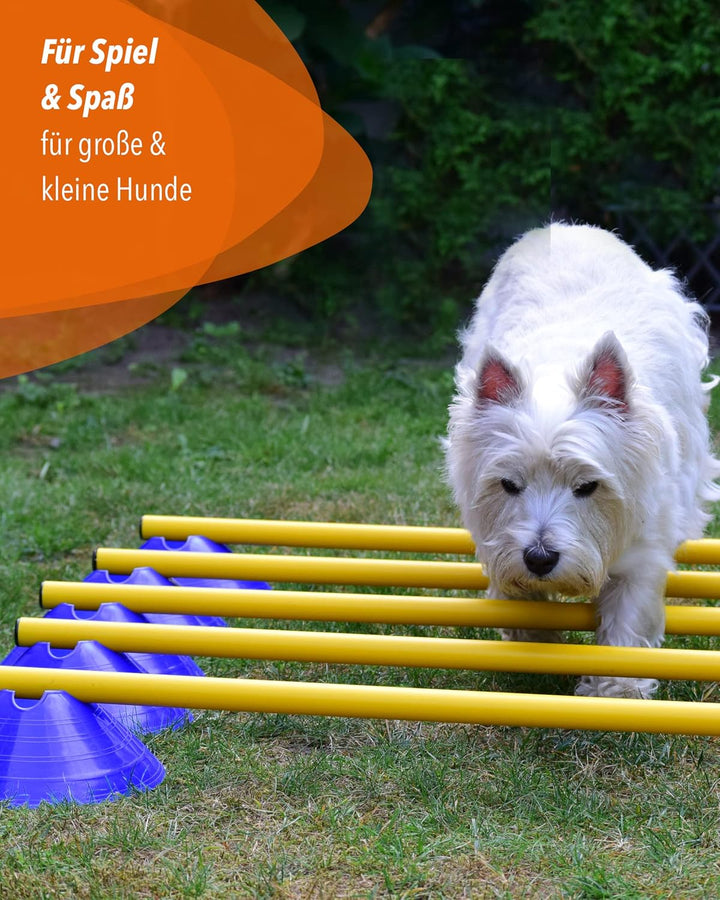 Mini-Hürden 10er Set & Stangen 100 cm – Cavaletti für Agility- & Koordinationstraining – Hürden & Sl