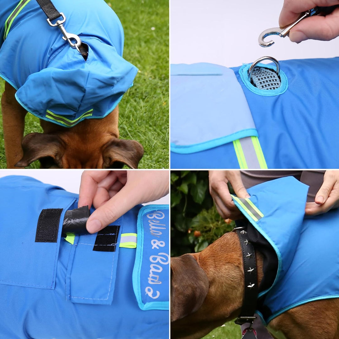 Bella & Balu Hunderegenmantel - Wasserdichter Hundemantel mit Kapuze und Reflektoren für trockene, s