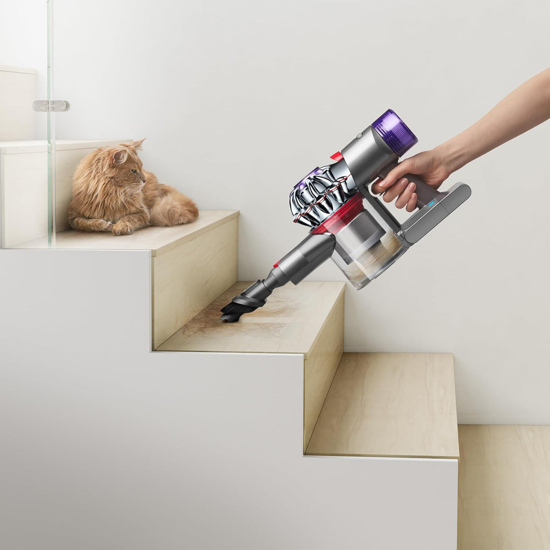 Dyson Staubsauger V8 Absolute Version 2022 394482-01, Grau