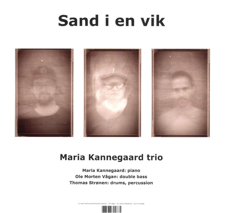 Sand I en Vik, Vinyl