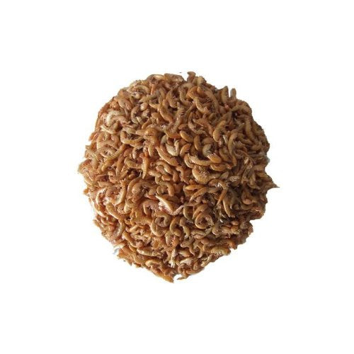 Gammarus Bachflohkrebse 10000ml