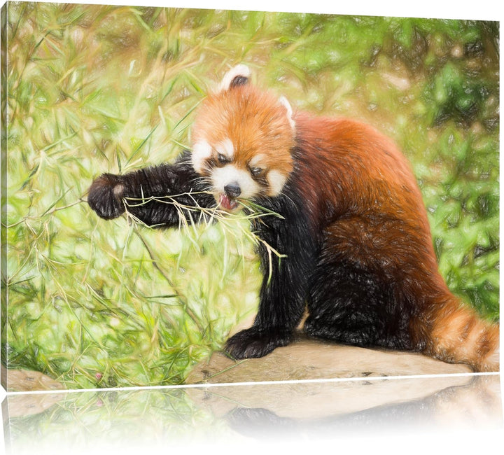 Pixxprint Niedlicher roter Panda als Leinwandbild/Grösse: 100x70 cm/Wandbild/Kunstdruck/fertig bespa