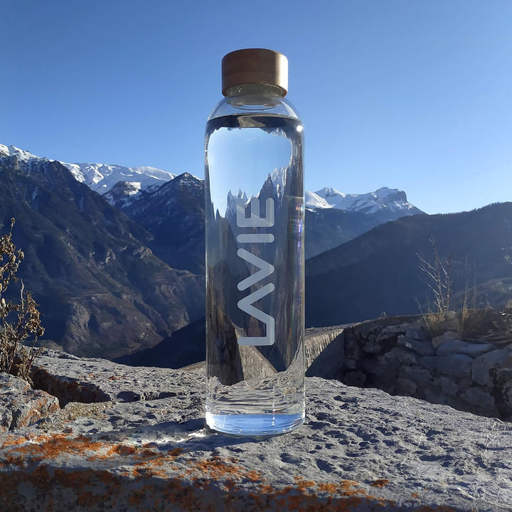 LaVie 2GO Flasche aus Borosilikatglas, 500 ml, 2GO Wasserreiniger, 500 ml