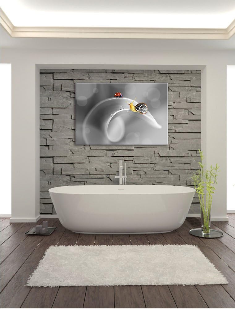 Pixxprint eine Schnecke und Marienkäfer als Leinwandbild | Grösse: 100x70 cm | Wandbild | Kunstdruck