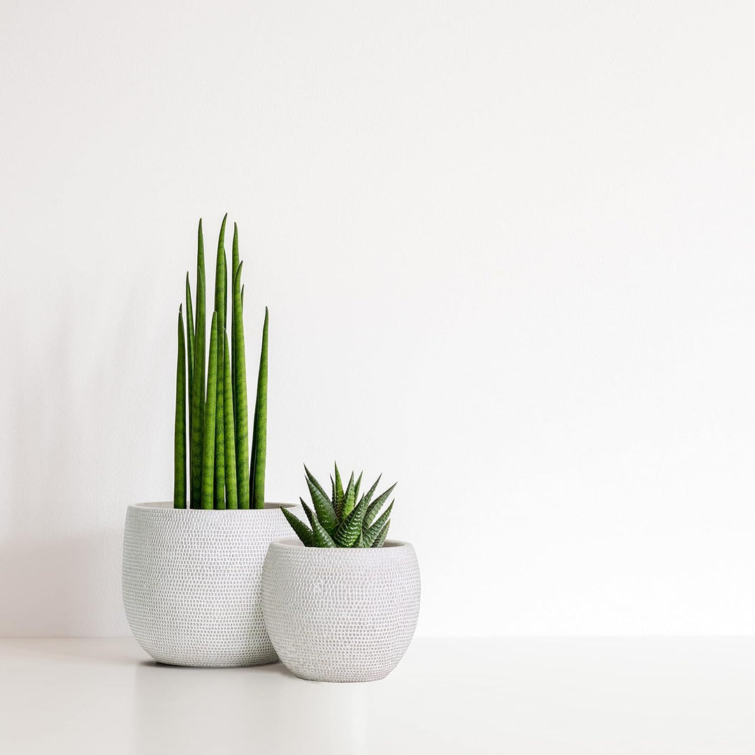 Olly & Rose Barcelona Keramik-Blumentopf-Set 2 – Pflanzgefässe für drinnen und draussen (weiss), Wei