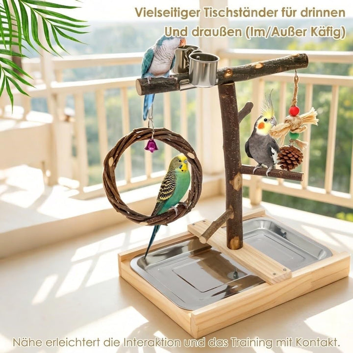 Vogel Spielplatz aus Holz mit Edelstahl-Tablett