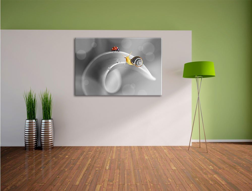 Pixxprint eine Schnecke und Marienkäfer als Leinwandbild | Grösse: 100x70 cm | Wandbild | Kunstdruck