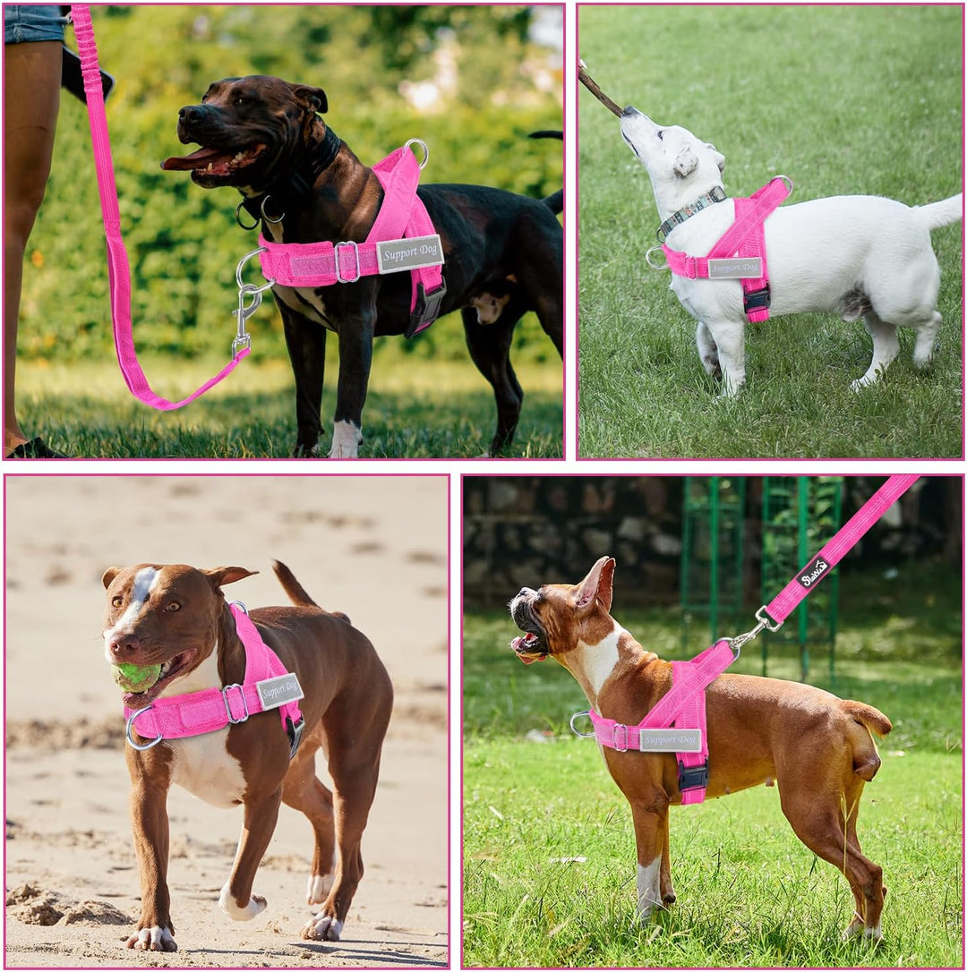 Hundegeschirr mit Leine für grosse mittelgrosse Hunde, Weich gepolsterter Brustgeschirr mit 2 Leinen