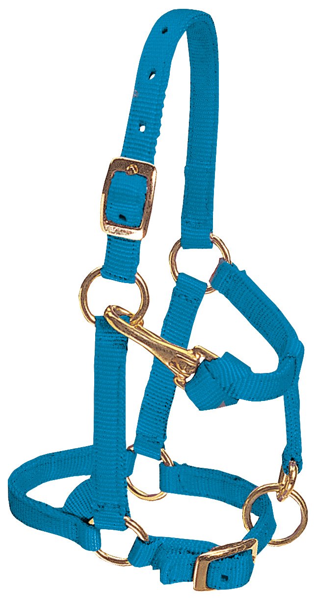 Weaver Leather Original verstellbares Nylonhalfter für Pferde Large Mini Hurricane blau, Large Mini