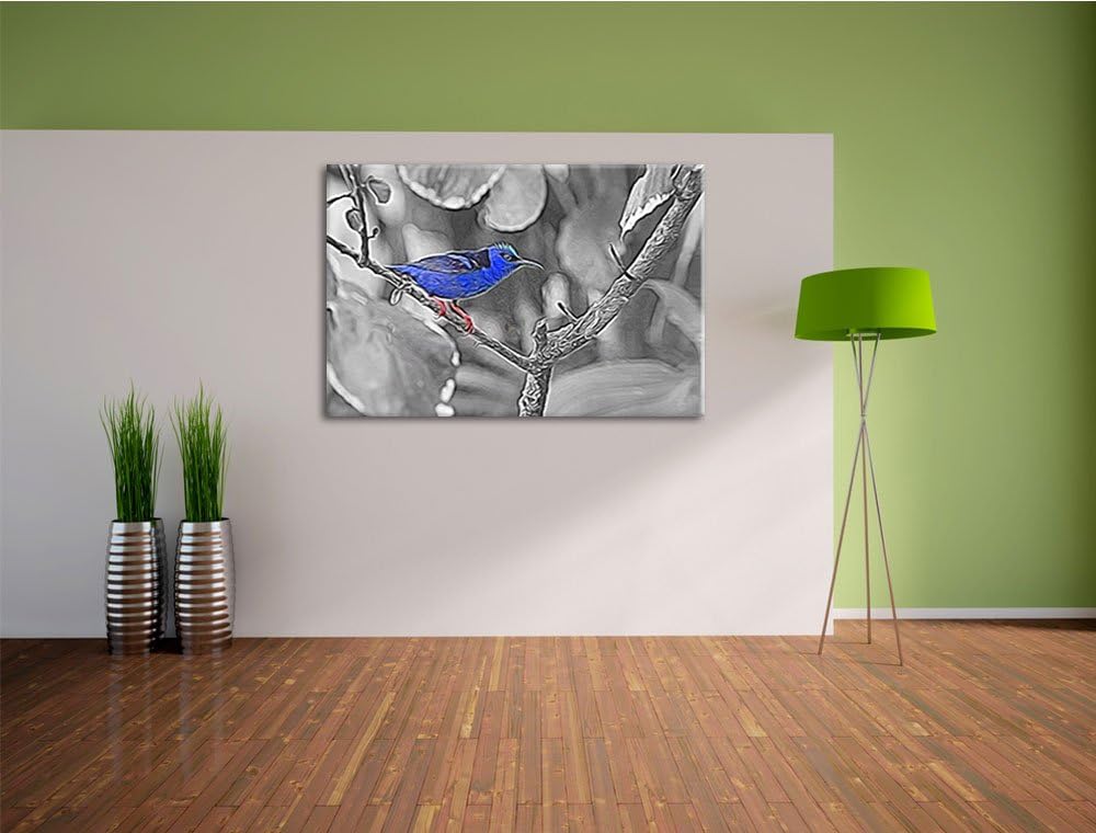 bildschöner Türkisnaschvogel auf Zweig schwarz/weiss Deluxe Format: 100x70 cm auf Leinwand, XXL ries