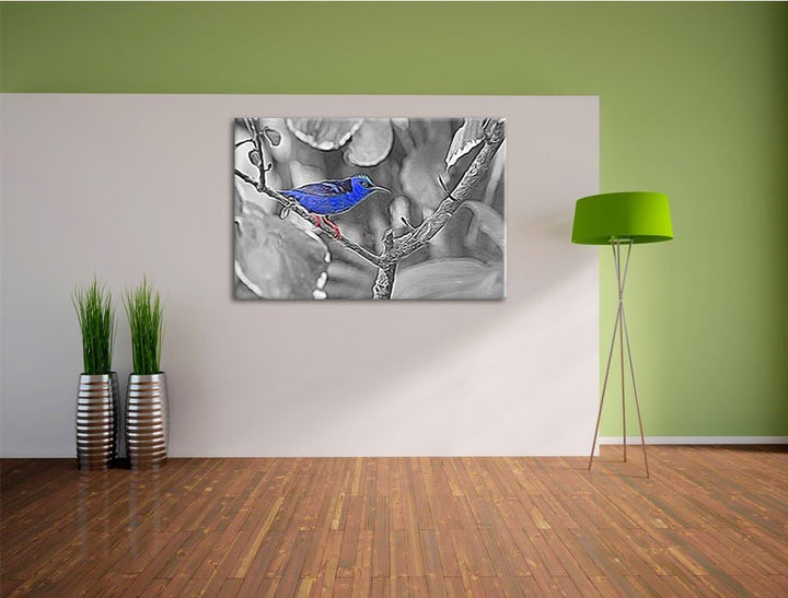 bildschöner Türkisnaschvogel auf Zweig schwarz/weiss Deluxe Format: 100x70 cm auf Leinwand, XXL ries