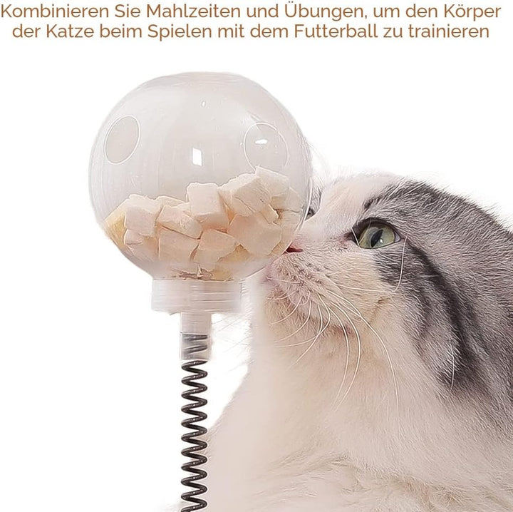 Marchul KatzenSpielzeug mit Futterball Snackball, Katzen Spielzeug Roller Tracks mit Drehteller, Int