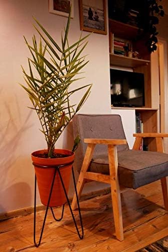 DIXIE STORE Blumenständer | Blumenbett Loft aus Metall 363 Pflanzenständer | Fantasievolles Pflanzen