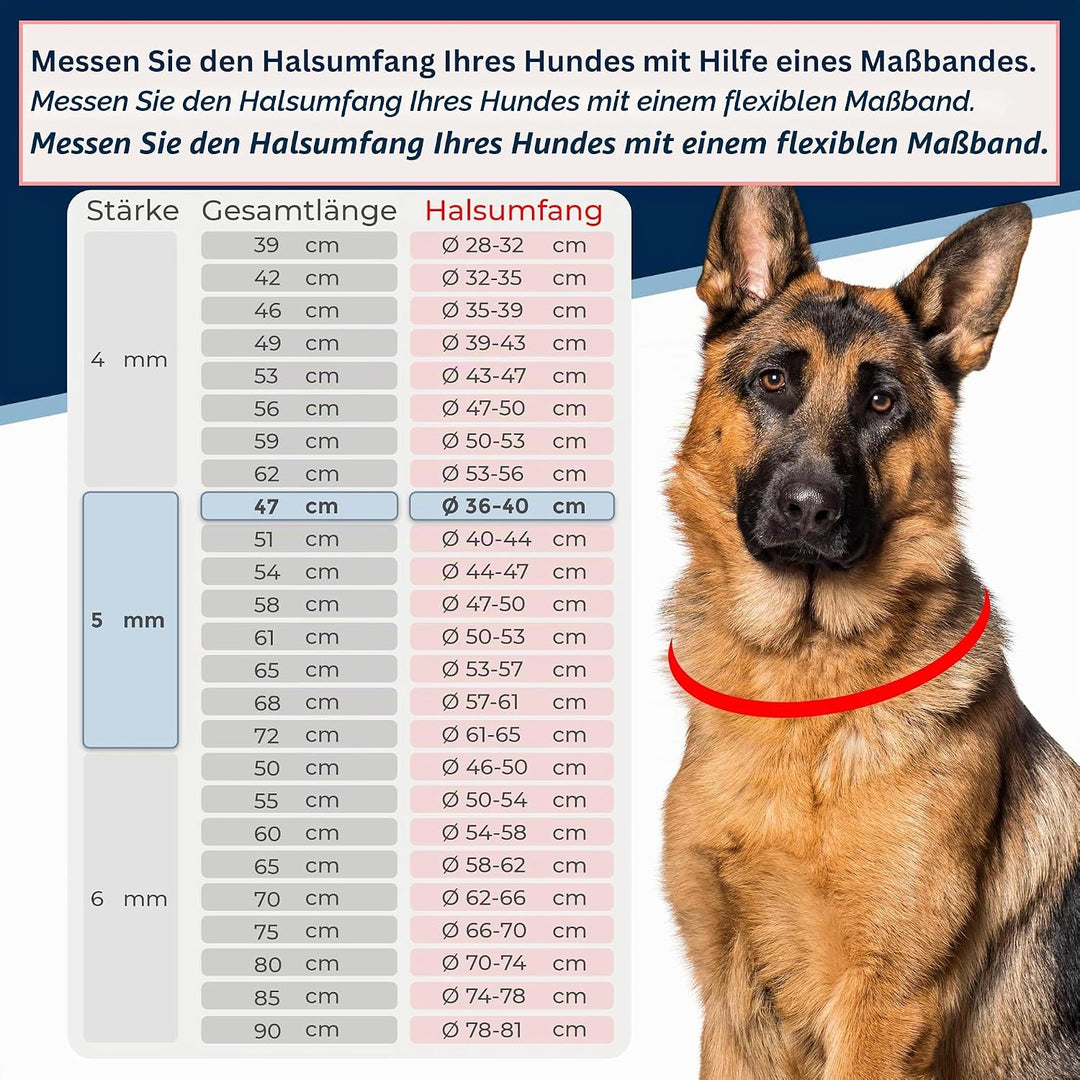 Kombikette für Hunde mit Halsumfang 36-40 cm aus Edelstahl V4A Hundekette mit Zugstop Kettenhalsband