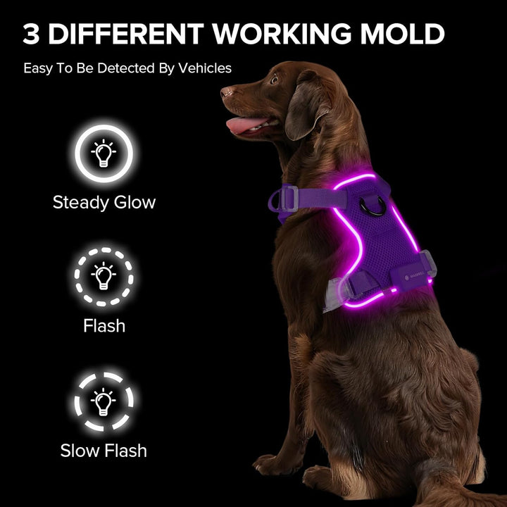 MASBRILL Hundegeschirr Leuchtend, LED Hundegeschirr Aufladbar & Einstellbar für Welpen Kleiner Mittl