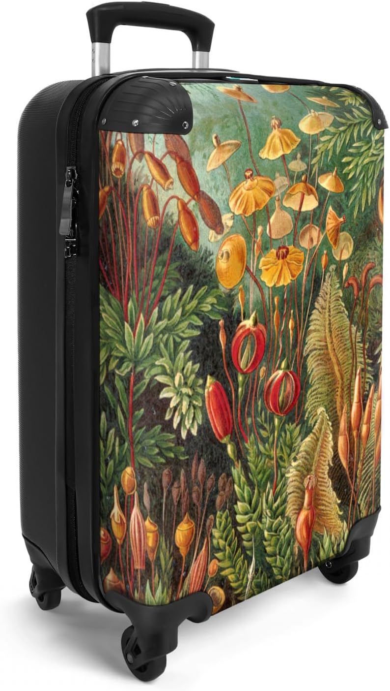 NoBoringSuitcases.com® Koffer Handgepäck Trolley Rollkoffer Kleine Reisekoffer mit 4 Rollen - Vintag
