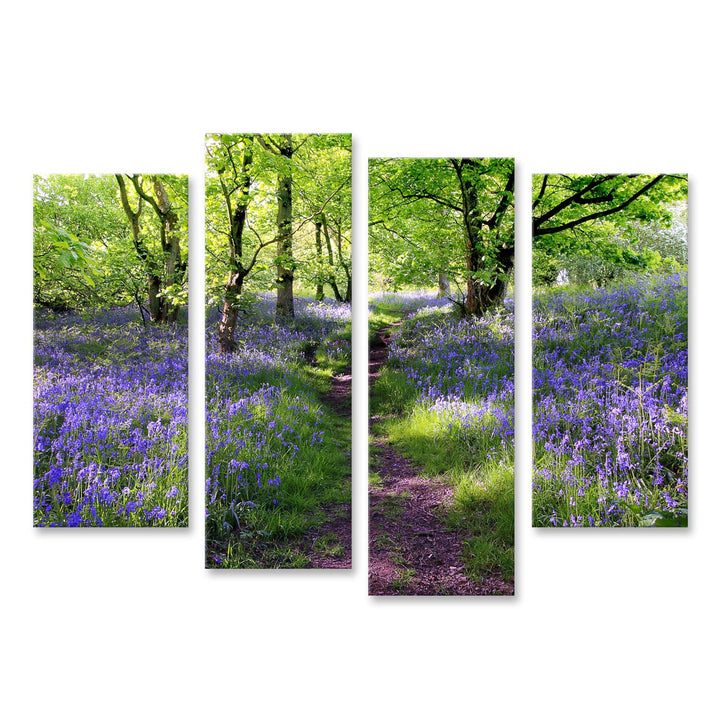 islandburner Bild auf Leinwand Blaue Glocken Blumenwiese In Schottland Bilder Wandbilder Poster Lein