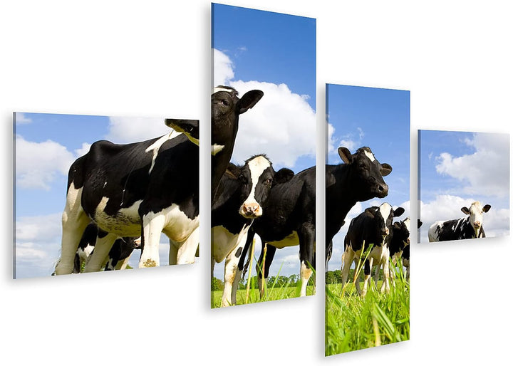 islandburner Bild auf Leinwand Holstein Kühe Auf Der Wiese Bilder Wandbilder Poster Leinwand 150x80c