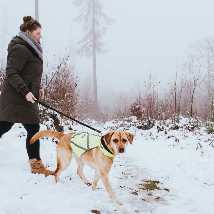 HUNTER Warnweste für Hunde, vielseitig einstzbar, höhere Sichtbarkeit, stufenlos verstellbar, wasser