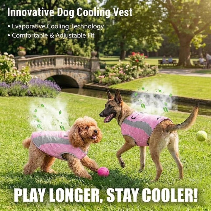 Hundekühlweste mit Geschirr, Outdoor-Welpenkühljacke mit verstellbarem Reissverschluss, reflektieren