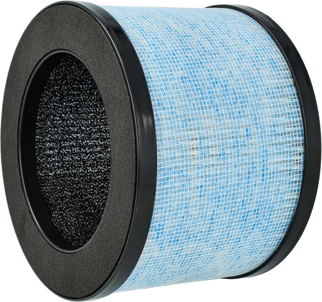 vhbw 2X HEPA Filter H13 kompatibel mit CONOPU DH-JH01, DH-JH06 Luftreiniger - Ersatz-Filter mit inte