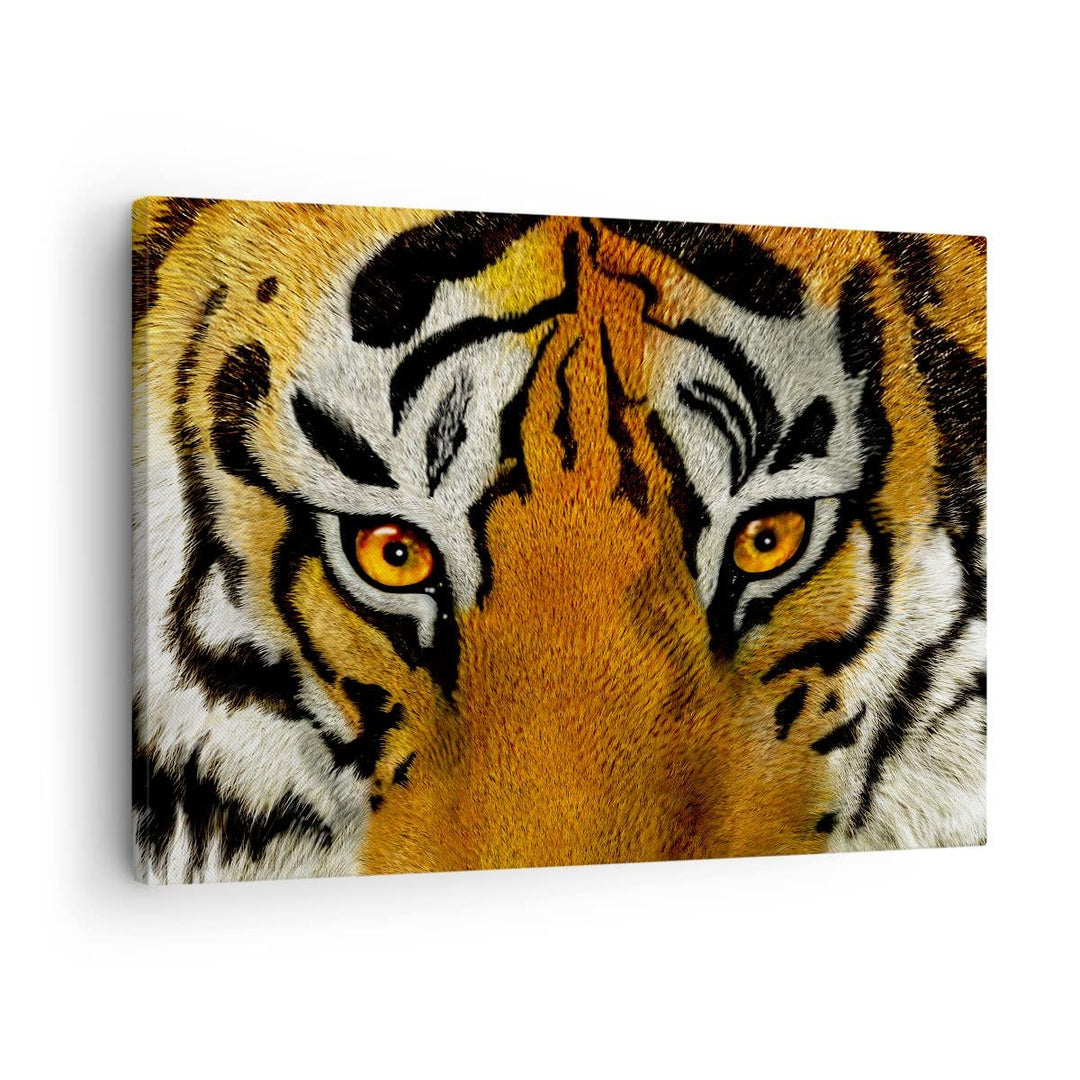 Bilder auf Leinwand Tiger Tiere Natur Safari Leinwandbild 70x50cm Wandbilder Dekoration Wohnzimmer S