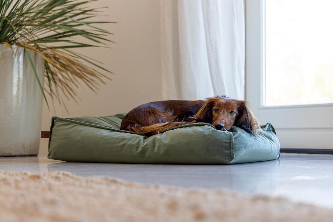 DBL REST CUSH NALINO DOG GREEN Grün 70X55X15 cm, Grün 70X55X15 cm