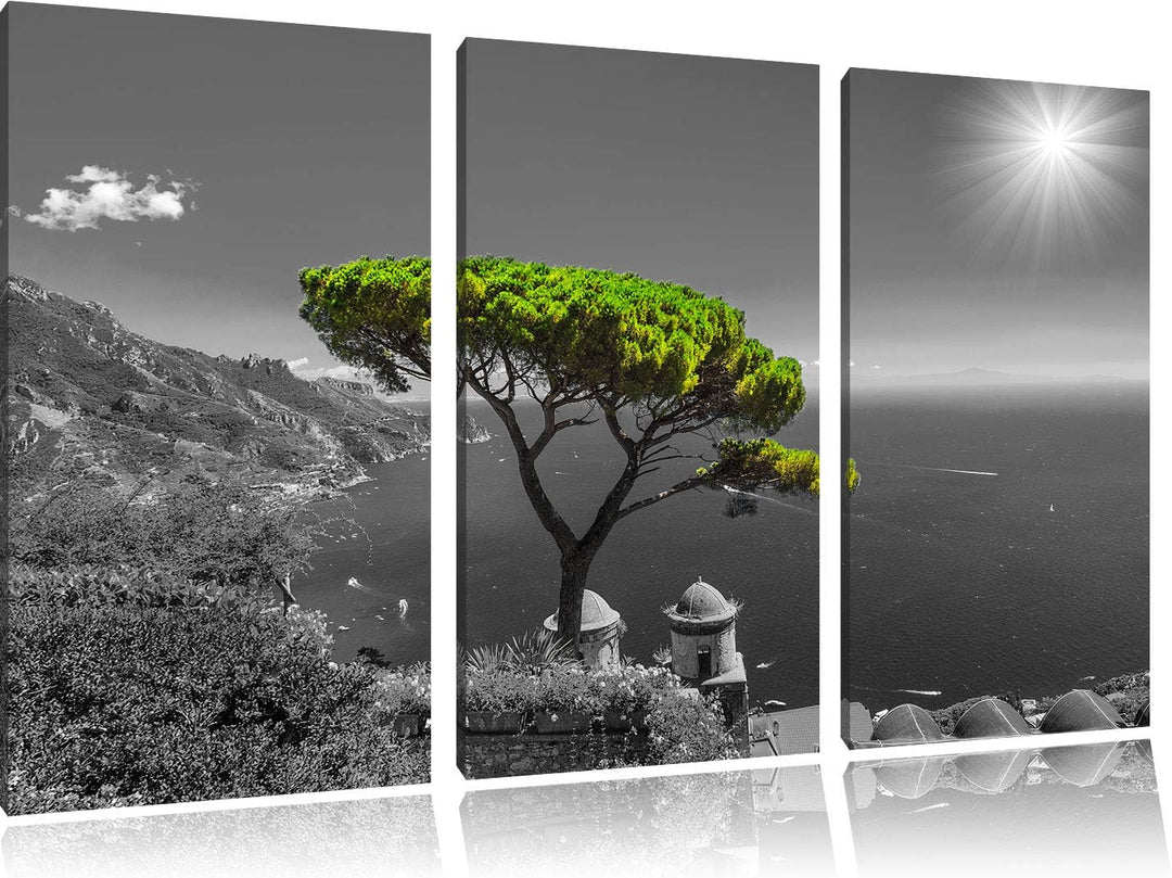 Pixxprint Baum am Mittelmeer als Leinwandbild | Grösse: 3 Teilig (120x80) | Wandbild| Kunstdruck | f