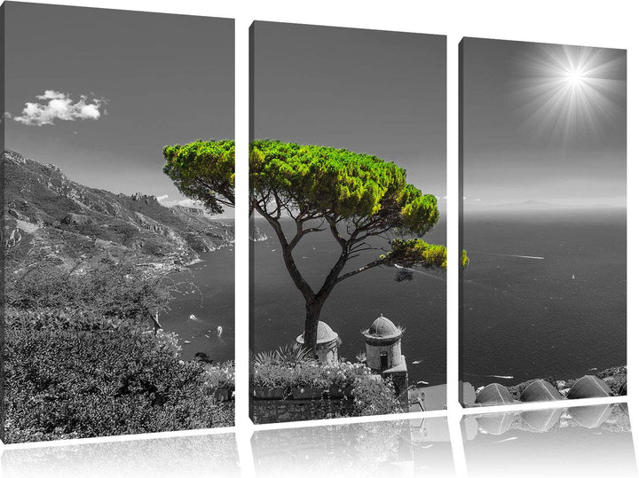 Pixxprint Baum am Mittelmeer als Leinwandbild | Grösse: 3 Teilig (120x80) | Wandbild| Kunstdruck | f