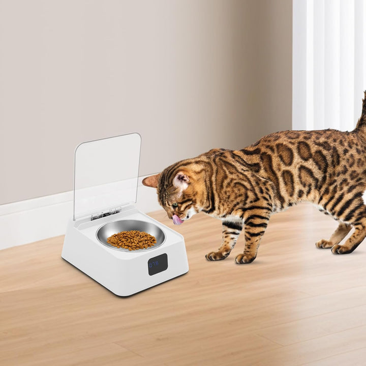Futterautomat Katze | Katzenfutter Automat | Automatischer Katzenfutterautomat | Infrarot-Sensor & B