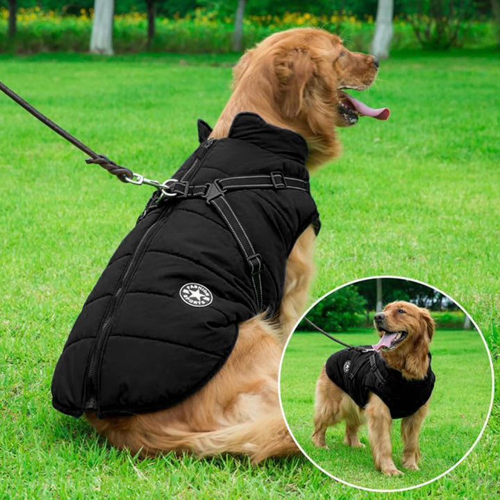 Hundejacken für den Winter Winddicht Wasserdicht 2 in 1 Fleece Wintermantel für Kleine Hundeweste Wi