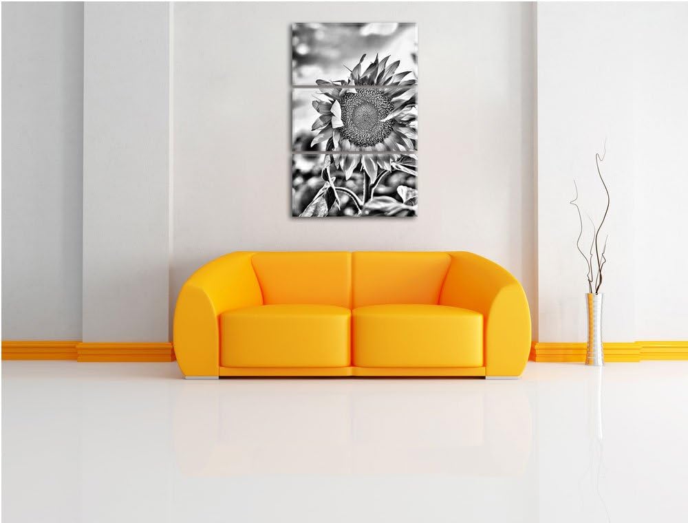 Pixxprint Monocrome, Sonnenblumen Sonnenblumenfeld Sonnenblumenkerne Sonnenschein 3-Teiler Leinwandb