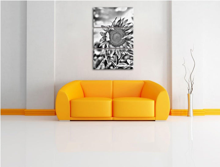 Pixxprint Monocrome, Sonnenblumen Sonnenblumenfeld Sonnenblumenkerne Sonnenschein 3-Teiler Leinwandb