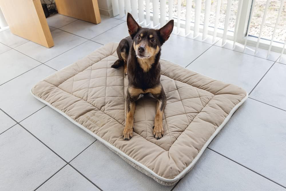 DGS Nano Canvas Sleeper Cushion L: 109 cm B: 69 cm H: 3,5 cm sand sand L: 109 cm B: 69 cm H: 3,5 cm,