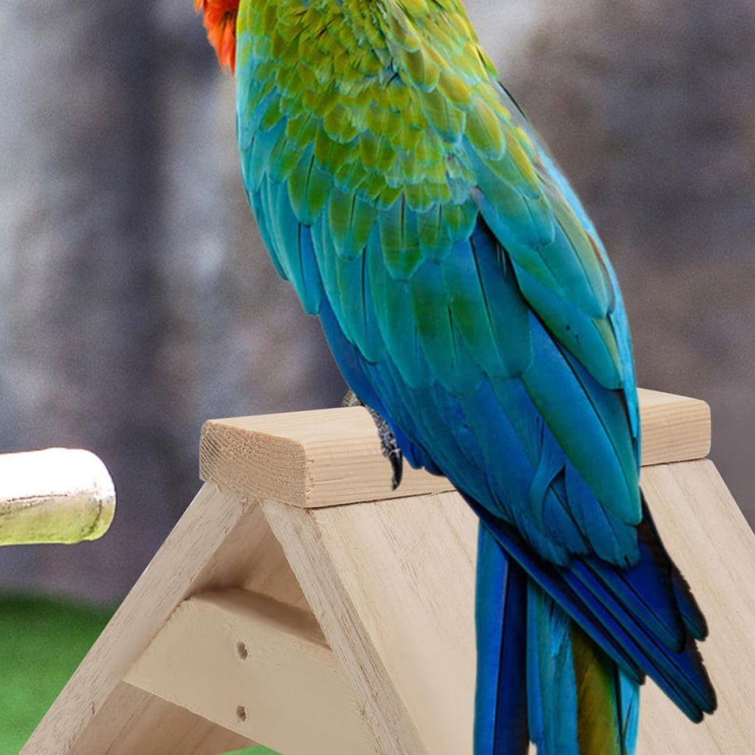 VALICLUD 5 Stück Taubenstange aus Holz, Vogelbeissspielzeug und Sitzbrettchen in Khaki für Papageien