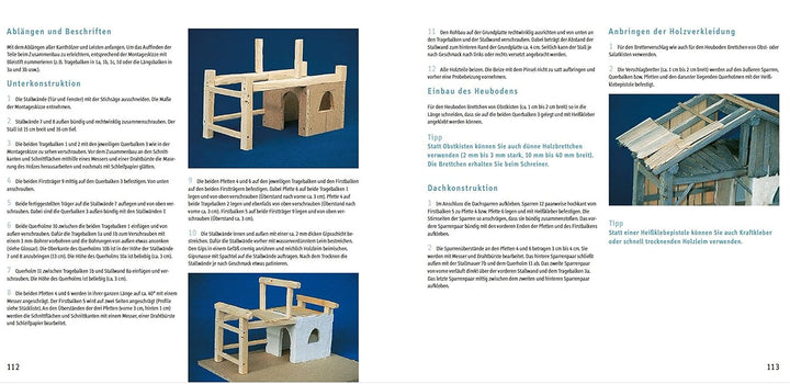 Krippen zum Selberbauen. Von alpenländisch bis orientalisch (Werkstatt): Kunstvolle Krippen-Gebäude