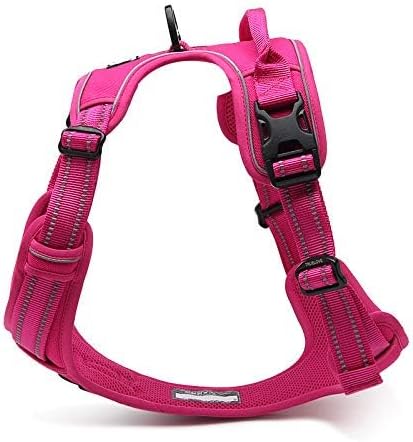 WINHYEPET Truelove Hundegeschirr No-Pull Reflektierendes verstellbar Haustiergeschirr mit 2 Leinencl