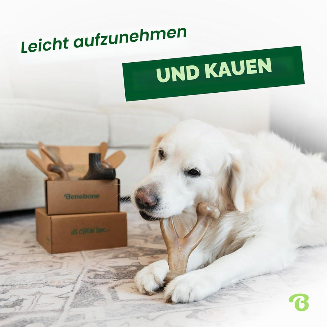 Benebone Unzerstörbare Hunde-Kauspielzeug-Geschenkbox für aggressive Kauer mit Querlenker, Fischgrät