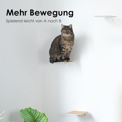 LucyBalu® Katzentreppe Wand Innen & Aussen 3er Set | Kletterwand für Katzen | Wandpark für Katzen bi