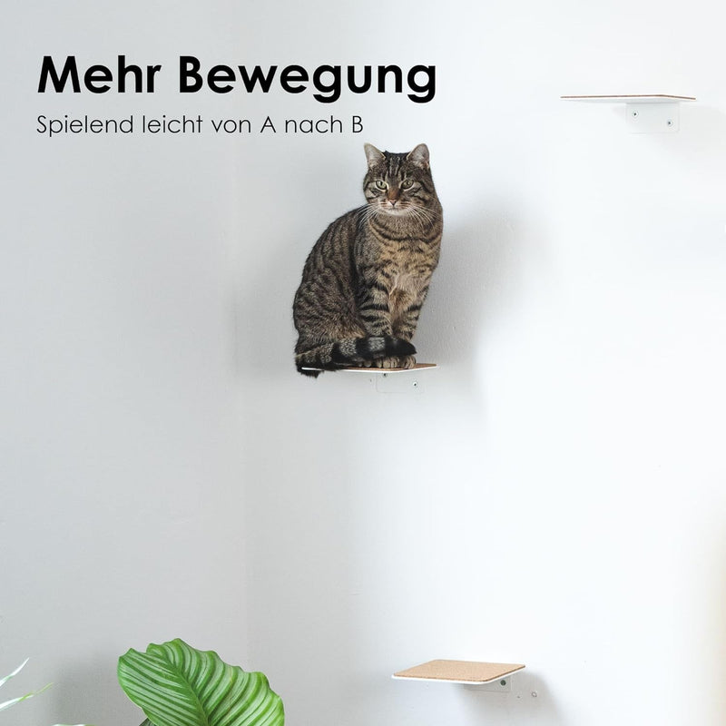 LucyBalu® Katzentreppe Wand Innen & Aussen 3er Set | Kletterwand für Katzen | Wandpark für Katzen bi
