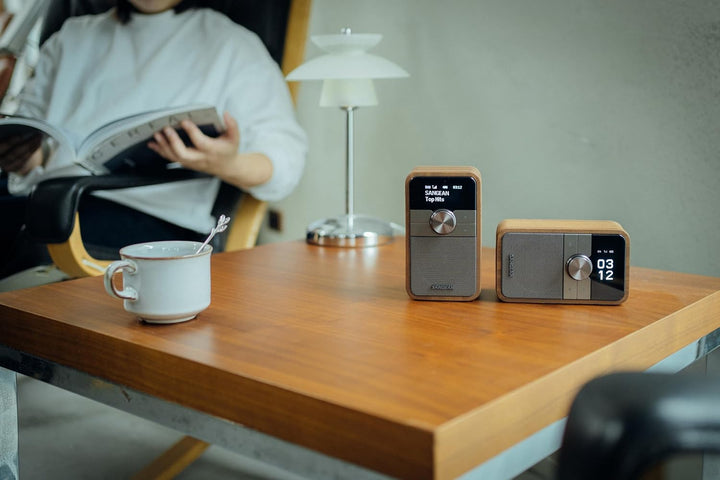 SANGEAN DDR-8 Tragbares DAB+ Radio mit Bluetooth 5.2, rotierendem OLED-Display, integriertem Akku, E