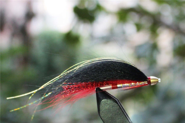 Tigofly 40 Stück/Los Cone Head Tube Fly 5 Muster Streamer Fly Lachsforelle Steelhead Fliegenfischen