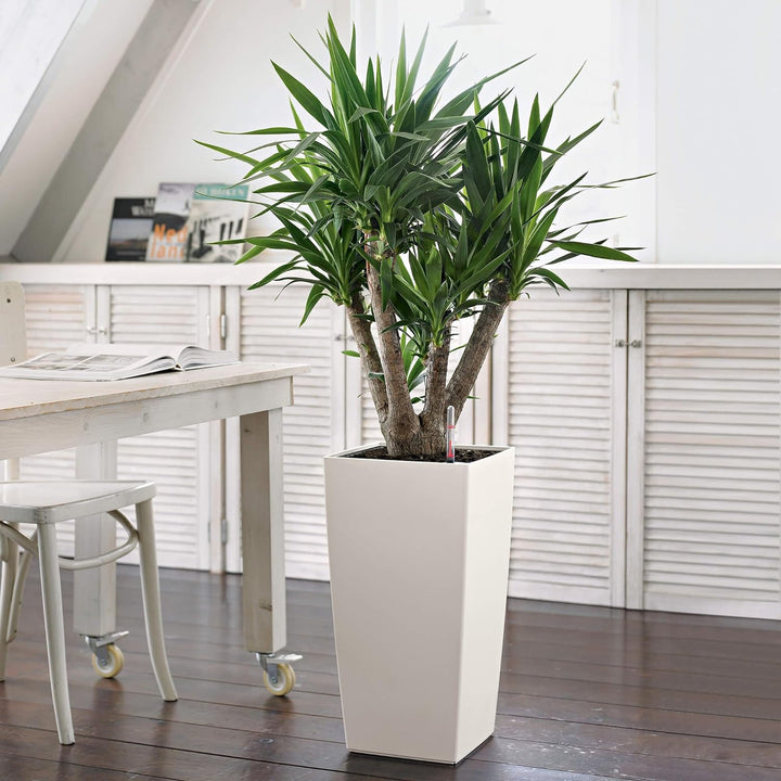 LECHUZA CUBICO Color 30 weiss 13130 Weiss 29.5x29.5x56.5 cm, Weiss 29.5x29.5x56.5 cm