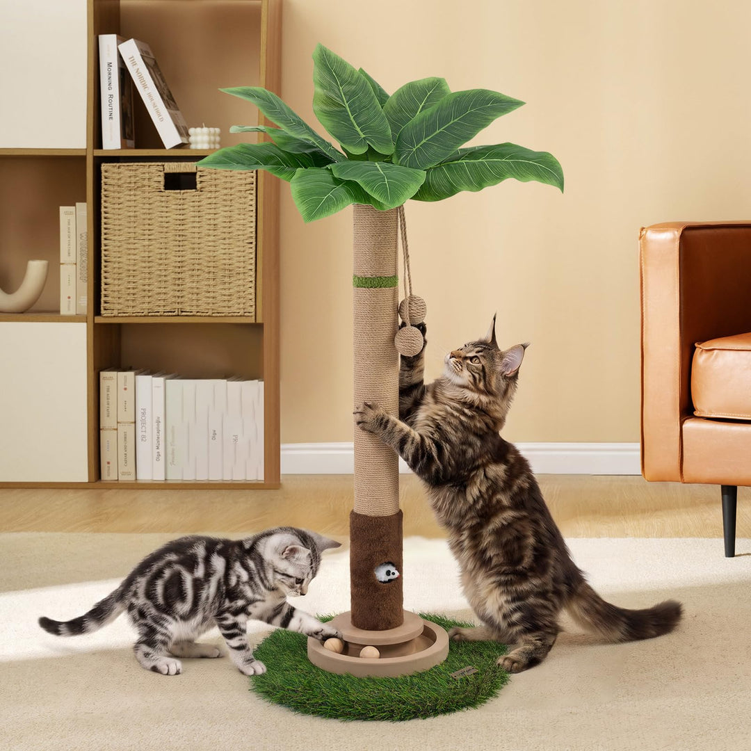 Katzenkratzbaum, 89,9 cm hoch, Katzenkratzbaum für Indoor-Katzen mit Katzenspielzeug, Mausloch und i
