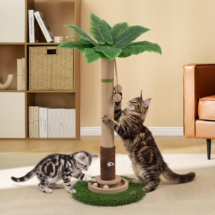 Katzenkratzbaum, 89,9 cm hoch, Katzenkratzbaum für Indoor-Katzen mit Katzenspielzeug, Mausloch und i