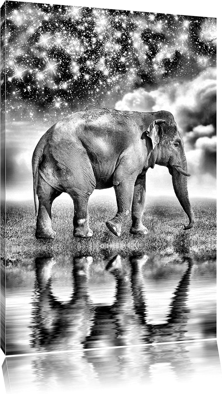 Pixxprint Monocrome, Elefant mit Sternenhimmel, Format: 100x70 auf Leinwand, 100x70