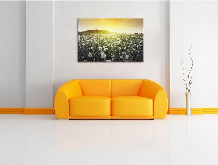 Pixxprint Pusteblumen Sonnenuntergang als Leinwandbild/Grösse: 100x70 / Wandbild/Kunstdruck/fertig b