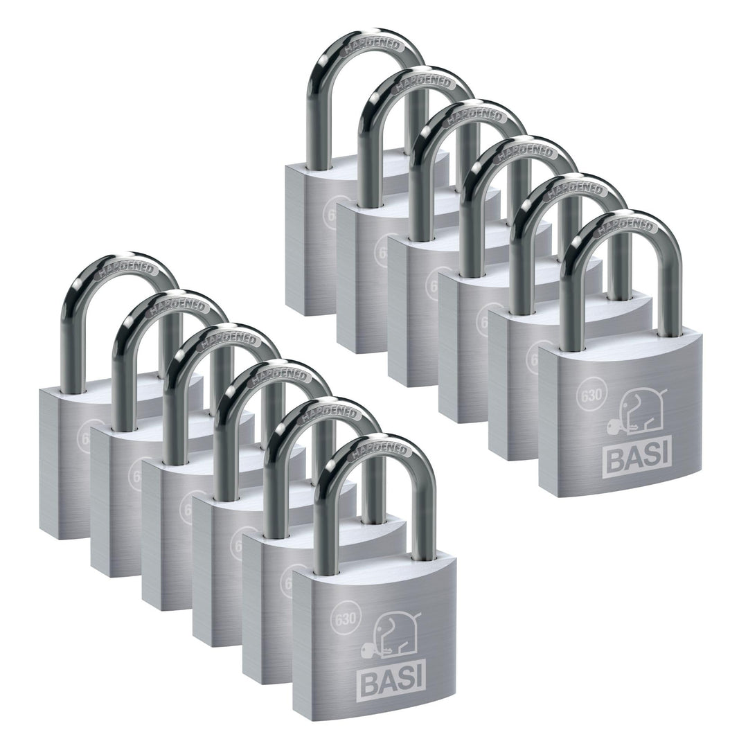 BASI | Vorhangschloss 12er Set | 20 mm | gleichschliessend | massives Aluminium-Gehäuse | gehärteter