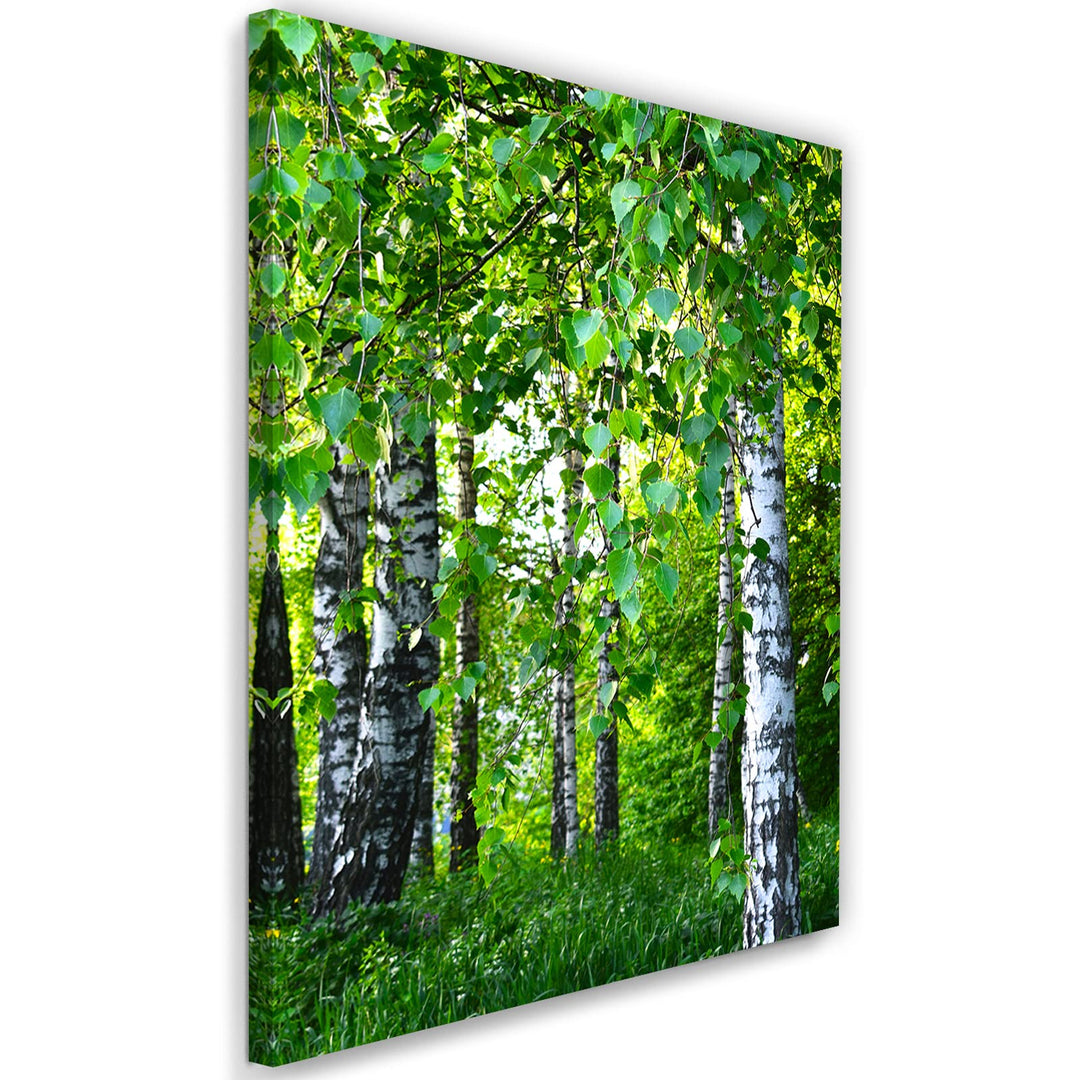 Feeby Wandbilder Birke Wald Landschaft XXL 80x120 cm 1Teilig Modern Vlies Bilder Leinwandbilder Bild